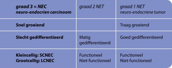 graad 3